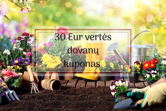 30 Eurų dovanų kuponas