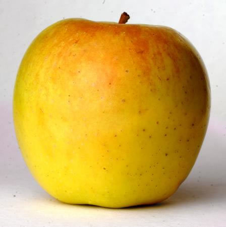 Žieminė obelis "GOLDEN DELICIOUS"
