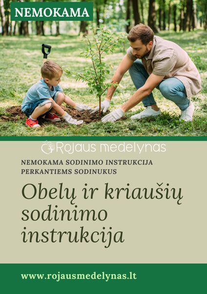 NEMOKAMA obelų sodinimo instrukcija
