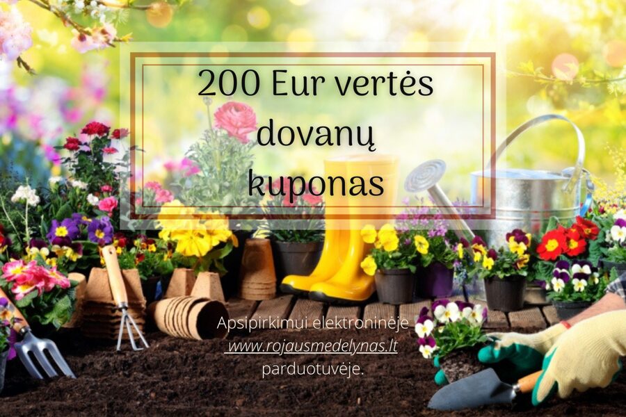 200 Eur. dovanų kuponas