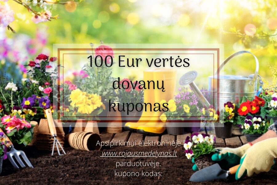 100 Eur dovanų kuponas
