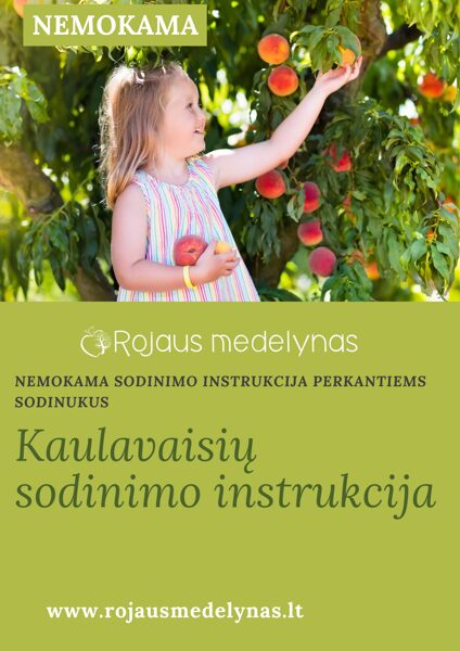 Sodinimo instukcija