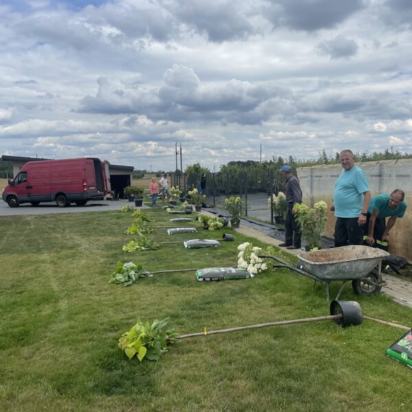 Sodinimo-apželdinimo darbai