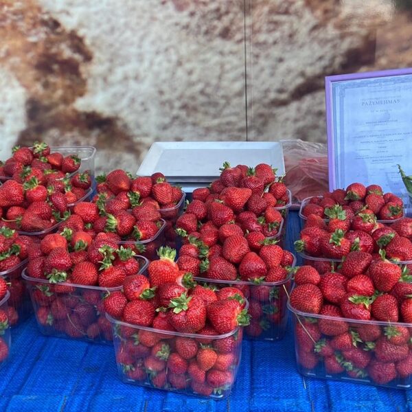 Vasarą prekiaujame savo užauginta produkcija prie prekybos centrų.