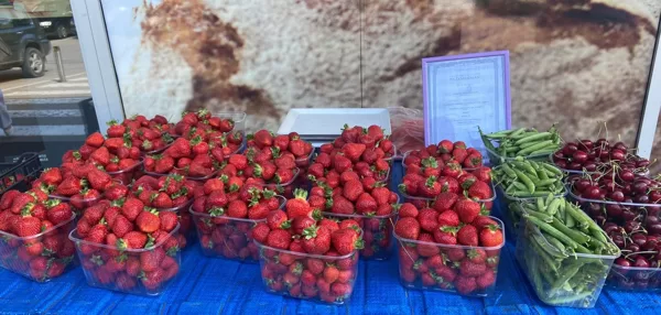 Vasarą prekiaujame savo užauginta produkcija prie prekybos centrų.